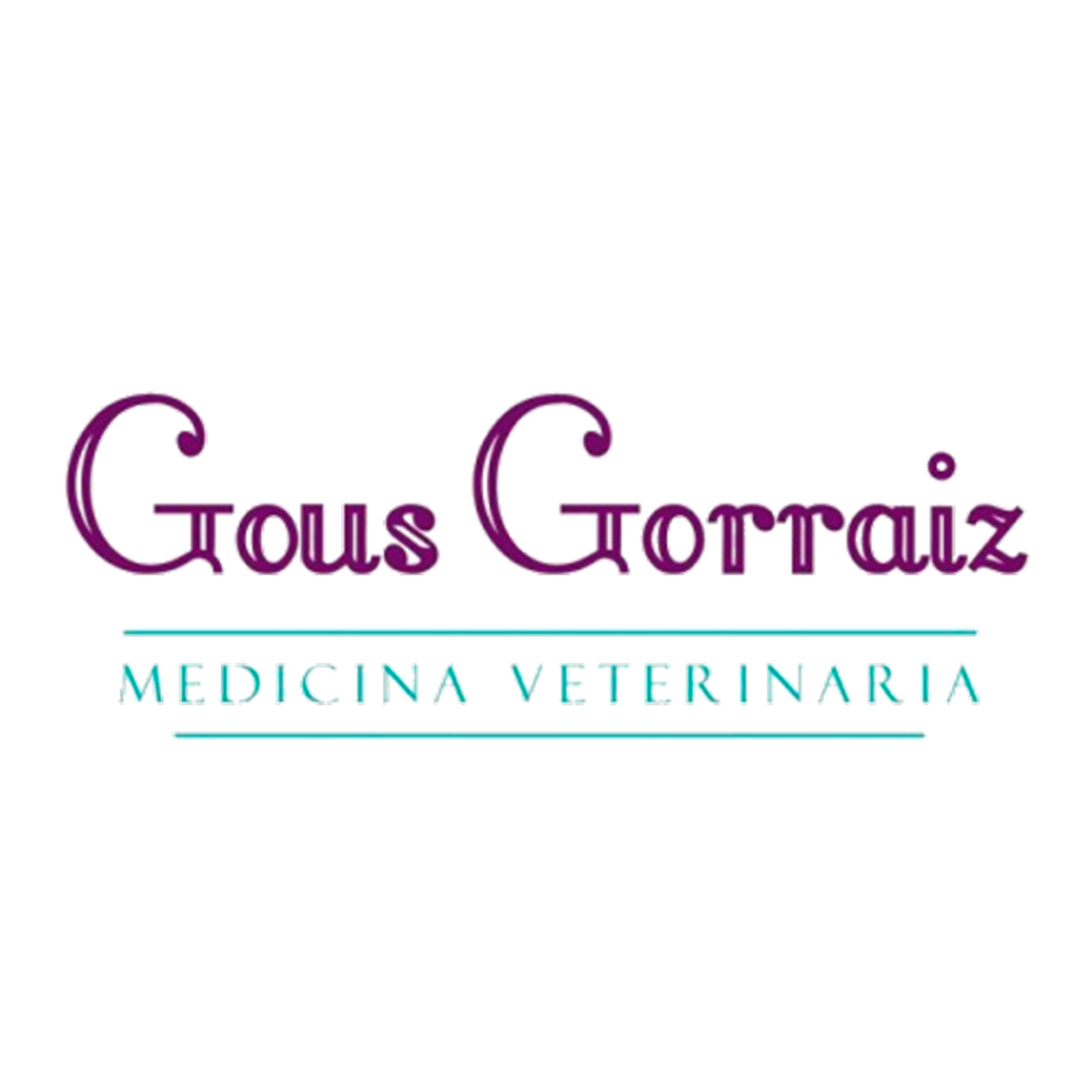 Gous | Medicina Veterinaria en Pamplona